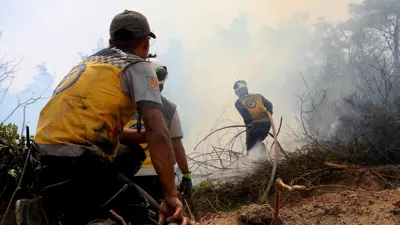 من حرائق سابقة في جبال اللاذقية