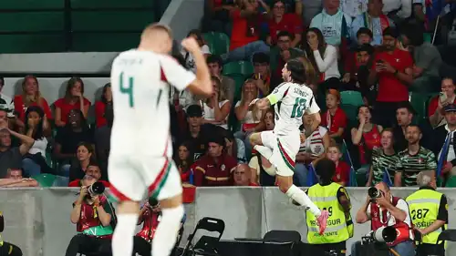 دومينيك سوبوسلاي