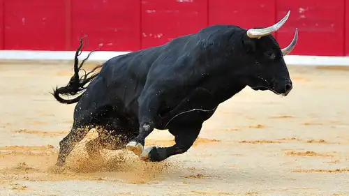 مصارعة الثيران، إسبانيا