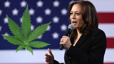 كامالا هاريس