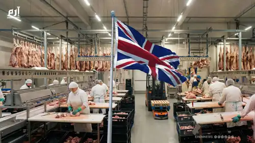 تقرير صادم.. لحوم الكلاب تهدد صحة البريطانيين