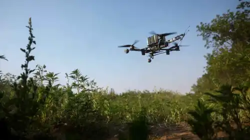 طائرة مسيرة أوكرانية