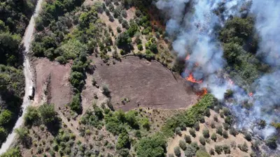 من حرائق ريف اللاذقية السورية