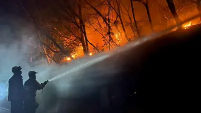 مكافحة حرائق الغابات في اليابان