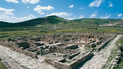 بلاريجيا التونسية