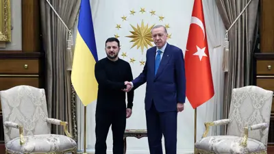 أردوغان وزيلينسكي في لقاء سابق