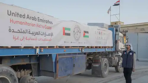 من القافلة التي دخلت قطاع غزة