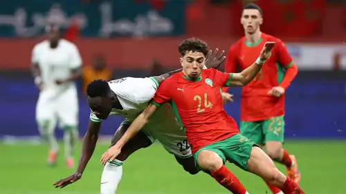 نائل العيناوي