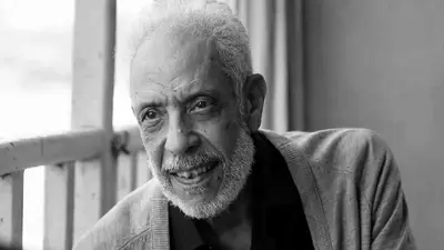 الفنان الراحل نبيل الحلفاوي