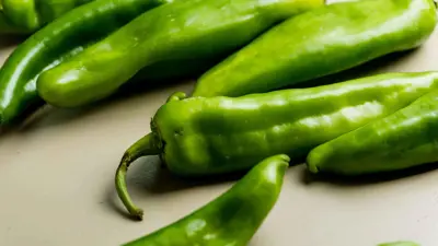 الفلفل الأخضر