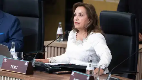  دينا بولوارتي 