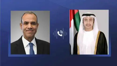 وزير الخارجية الإماراتي ونظيره المصري
