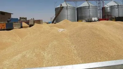 صوامع القمح في العراق