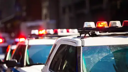 شرطة نيويورك