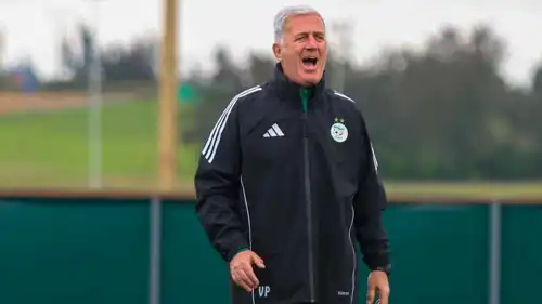 فلاديمير بيتكوفيتش