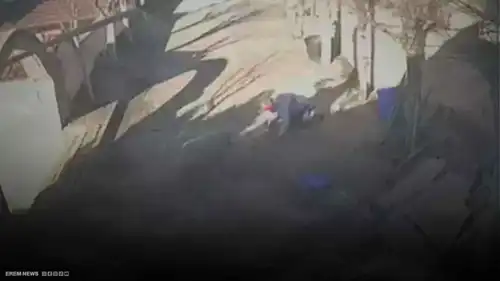 رعب في مزرعة تركية.. كبش هائج يضع صاحبه على حافة الموت