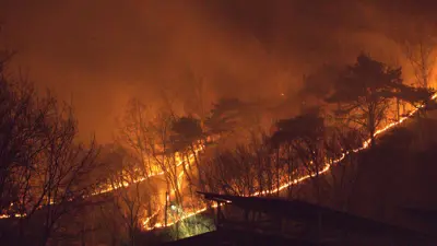 حرائق الغابات في ويسونج بكوريا الجنوبية