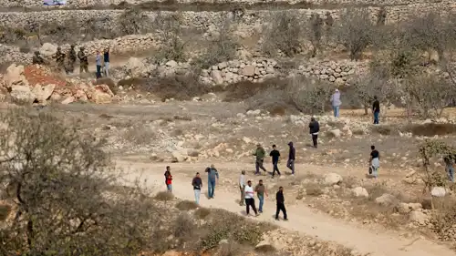 اعتداءات المستوطنين على مزارعي الزيتون في الضفة الغربية