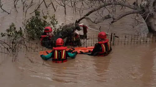 صورة متداولة للفيضانات في مالقة