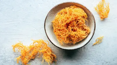 طحالب البحر