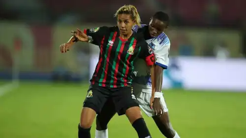 غزلان الشباك