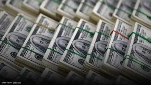 احتيال بـ175 مليون دولار.. رائدة أعمال تستغل "غباء" أحد بنوك أمريكا