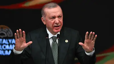 الرئيس التركي رجب طيب أردوغان