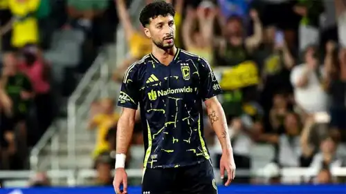 وسام ابو علي