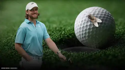 كيف غيرت "ذبابة" مجرى بطولة غولف عالمية؟