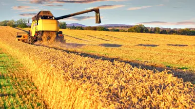 عملية الحصاد في أمريكا