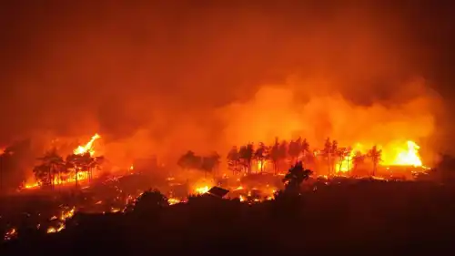 حرائق الغابات في اللاذقية