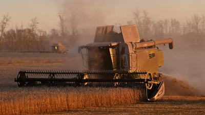 جمع محصول القمح في إحدى المزارع بروسيا