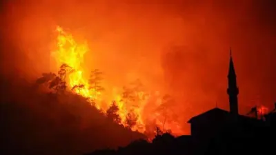 من حرائق الغابات في تركيا