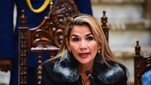 الرئيسة البوليفية السابقة جانين أنييز