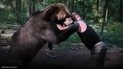 "خنق الدب بيديه".. ملاكم روسي يستعد لنزال تايسون فيوري بتدريب انتحاري