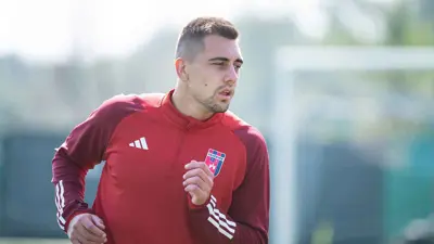 نيجك جراديشار