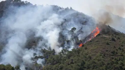 حرائق سابقة في غابات سوريا