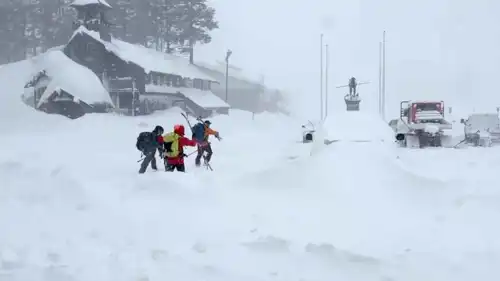  فريق إنقاذ في سودا سبرينغز - كاليفورنيا