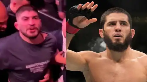 ديلون دانيس يتورط في شجار عنيف بـUFC