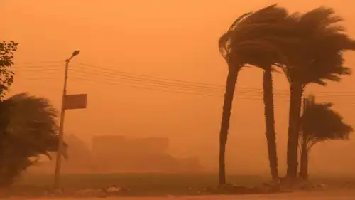 عاصفة خماسينية تضرب مصر