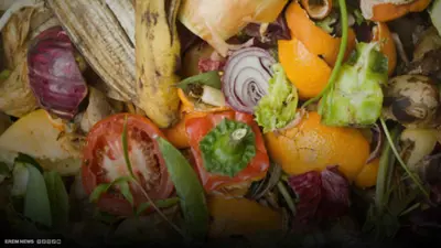 قشور الفاكهة