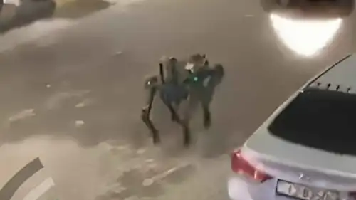 الروبوت المشارك في المداهمات 