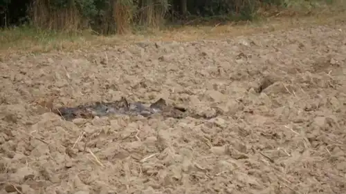 أجزاء من طائرة مسيرة أسقطتها بولندا