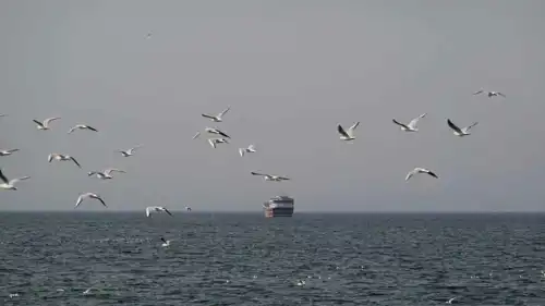 قارب في مضيق هرمز