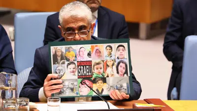 المندوب الإيراني في مجلس الأمن