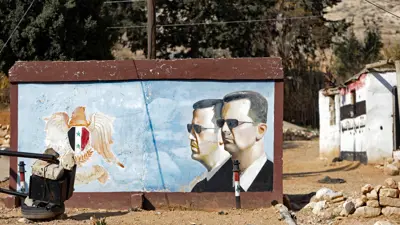 صورة سابقة للأسد