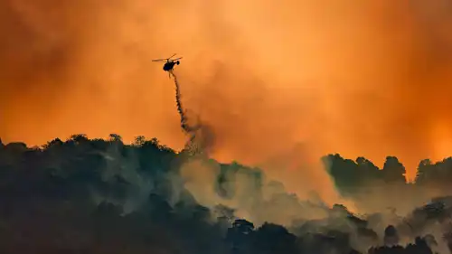 من محاولات اخماد حرائق الغابات 