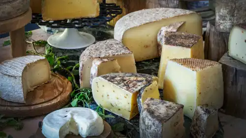 أنواع مختلفة من الجبنة 
