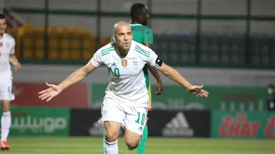 سفيان فيغولي