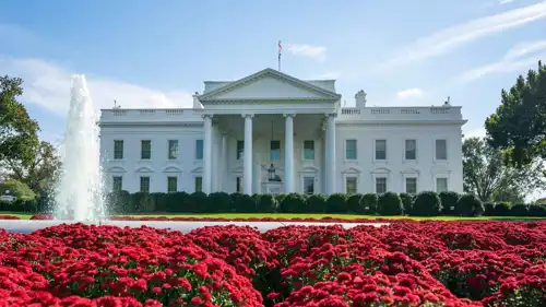 البيت الأبيض